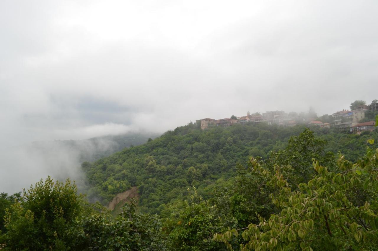 Hotel Tuta House Sighnaghi Exterior foto